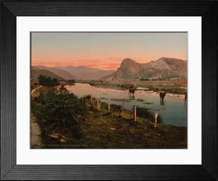 Framed Print : Cader Idris (i. e. Cadair Idris) and Dyssyni Valley (cattle s Framed Print : Cader Idris (i. e. Cadair Idris) and Dyssyni Valley (cattle s