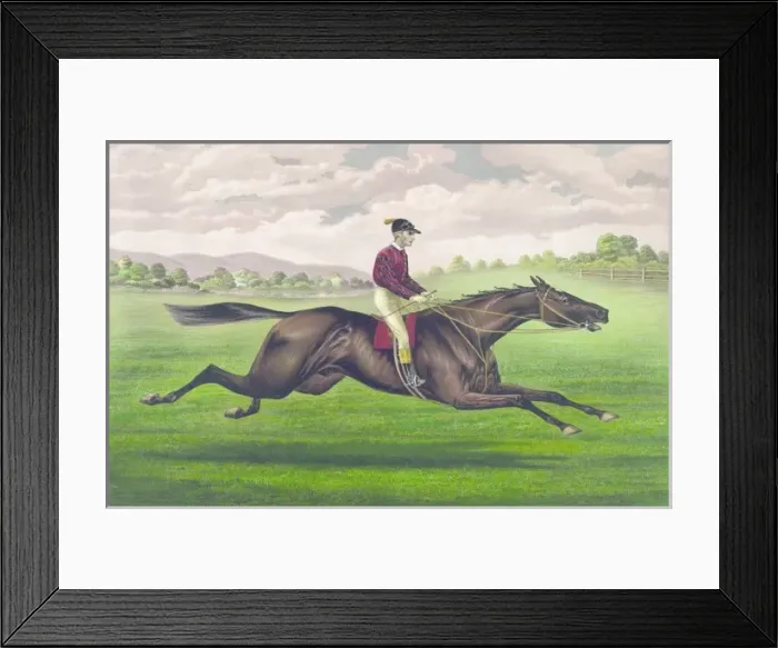 Framed Print : Parole: brown gelding, by Imp. Leamington, dam Maiden by Lex Framed Print : Parole: brown gelding, by Imp. Leamington, dam Maiden by Lex