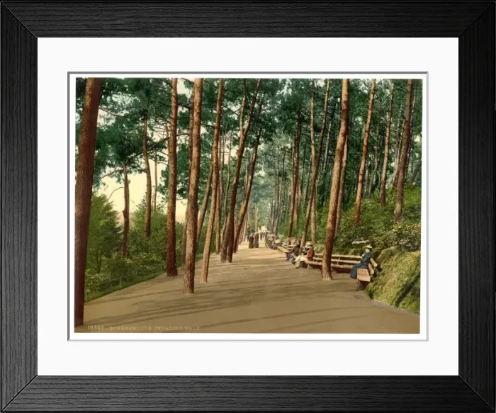 Framed Print : Invalids walk, Bournemouth, England Framed Print : Invalids walk, Bournemouth, England