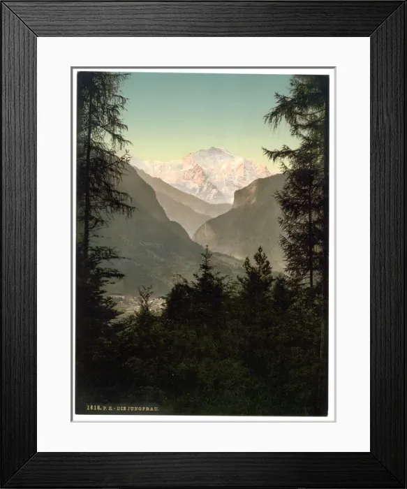 Framed Print : Interlaken, the Jungfrau, from the Rugen, Bernese Oberland Framed Print : Interlaken, the Jungfrau, from the Rugen, Bernese Oberland