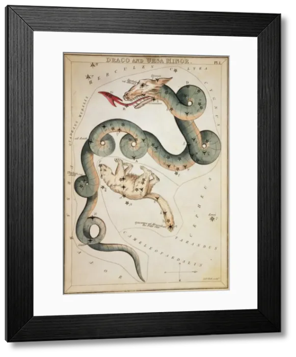 Framed Print : Draco and Ursa Minor Framed Print : Draco and Ursa Minor