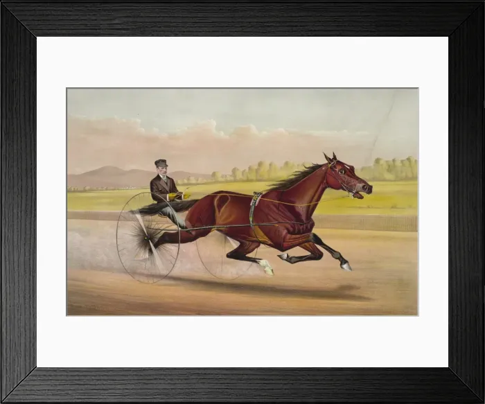 Framed Print : The king of the turf St. Julien, driven by Orrin A. Hickok Framed Print : The king of the turf St. Julien, driven by Orrin A. Hickok