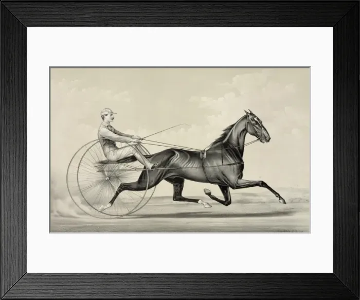 Framed Print : R. B. Conklings bay gelding Rarus, the King of Trotters: dri Framed Print : R. B. Conklings bay gelding Rarus, the King of Trotters: dri