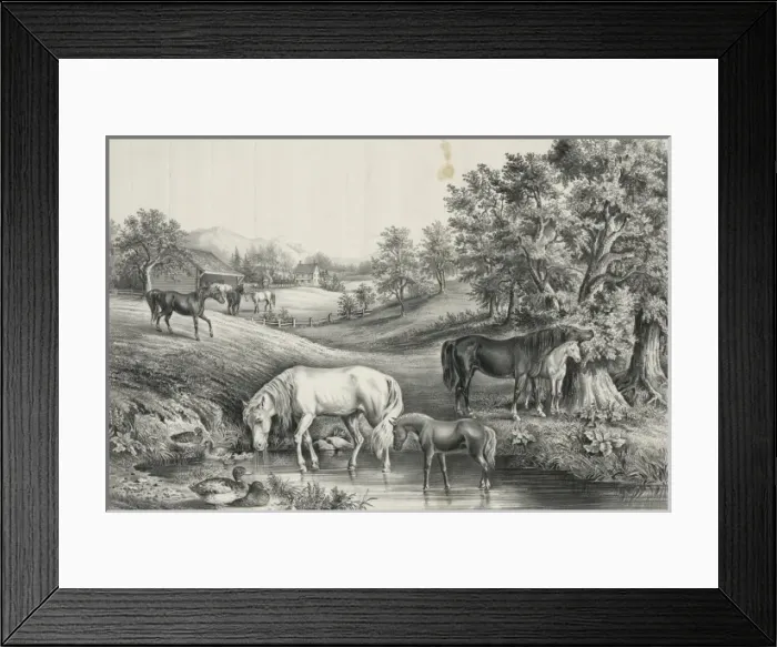 Framed Print : The grazing farm Framed Print : The grazing farm
