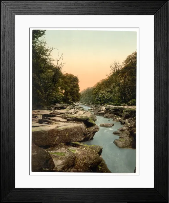 Framed Print : Woods, the Strid, Bolton Abbey, England Framed Print : Woods, the Strid, Bolton Abbey, England