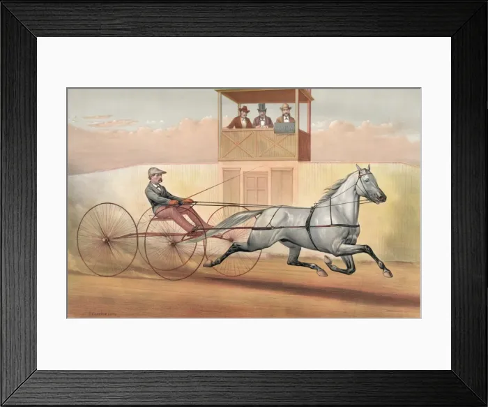Framed Print : Hopeful: by Godfreys Patchen, dam by the Bridham horse Framed Print : Hopeful: by Godfreys Patchen, dam by the Bridham horse