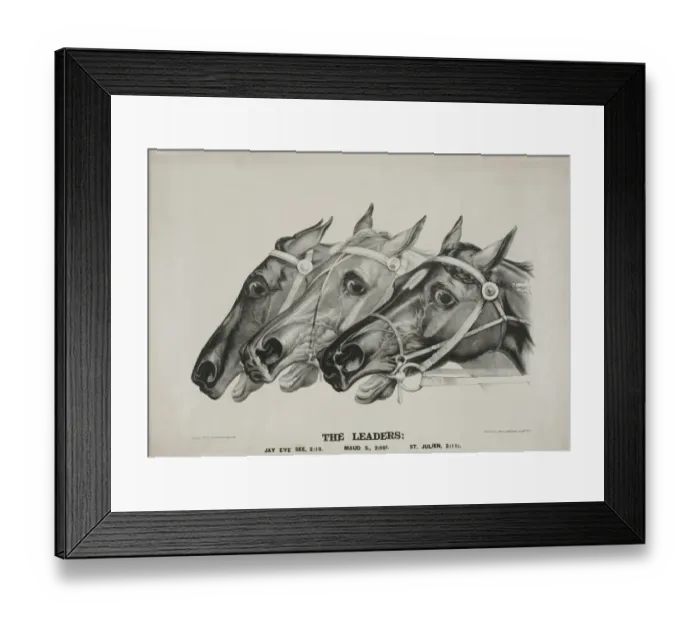Framed Print : The leaders Framed Print : The leaders