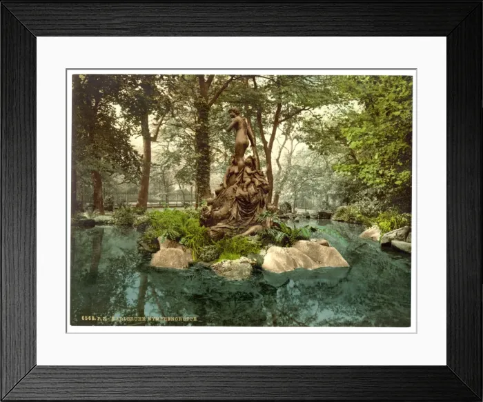 Framed Print : Group of Nymphs in Park Lake, Karlsruhe, Baden, Germany Framed Print : Group of Nymphs in Park Lake, Karlsruhe, Baden, Germany