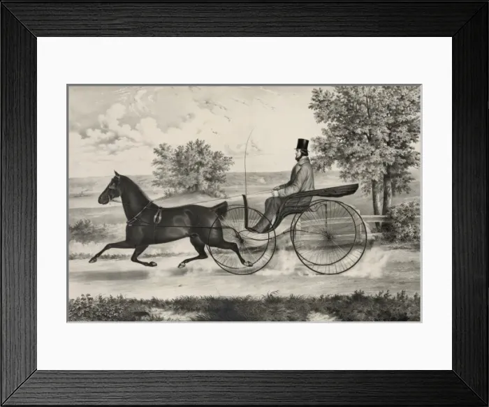 Framed Print : The road, --summer Framed Print : The road, --summer