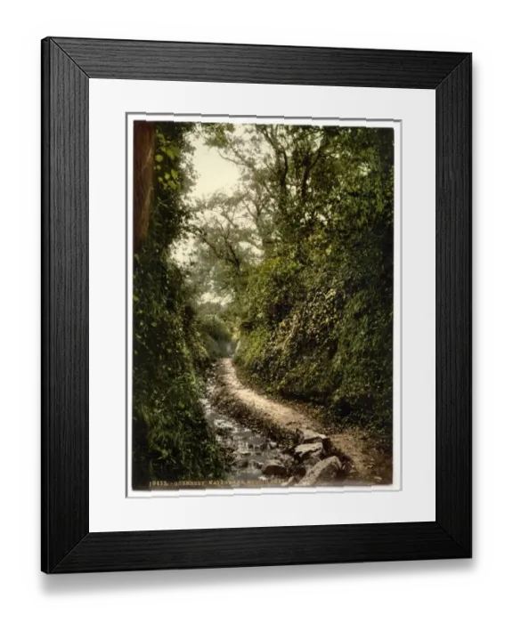 Framed Print : Guernsey, water lane, Moulin Huet, Channel Islands, England Framed Print : Guernsey, water lane, Moulin Huet, Channel Islands, England