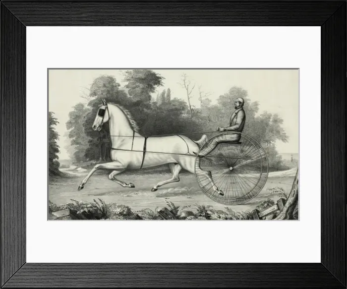 Framed Print : Grey Eagle: driven by Hiram Woodruff, Esq Framed Print : Grey Eagle: driven by Hiram Woodruff, Esq