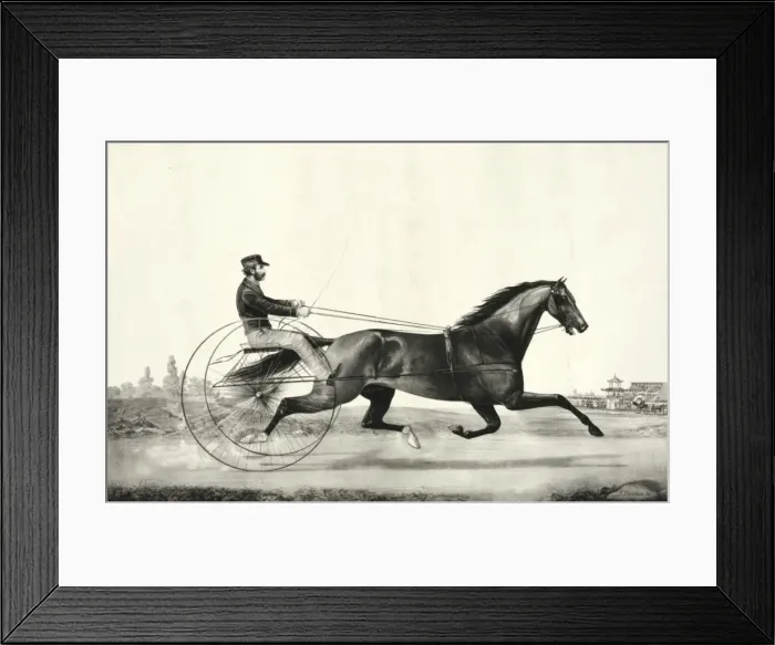 Framed Print : Trotting stallion Tom Moore driven by Danl. Mace: sired by H Framed Print : Trotting stallion Tom Moore driven by Danl. Mace: sired by H