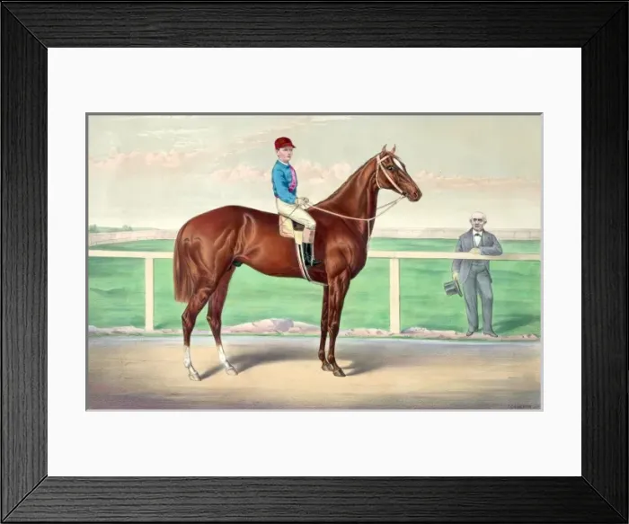 Framed Print : Ready for the signal: the celebrated running horse Harry Bas Framed Print : Ready for the signal: the celebrated running horse Harry Bas