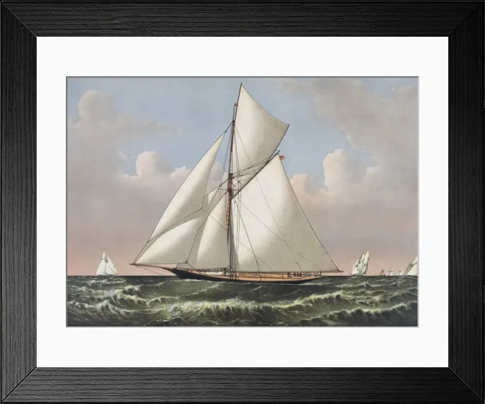 Framed Print : Thistle: cutter yacht, designed by G. L. Watson. built by D. W Framed Print : Thistle: cutter yacht, designed by G. L. Watson. built by D. W
