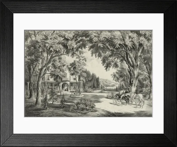 Framed Print : Summer in the country Framed Print : Summer in the country