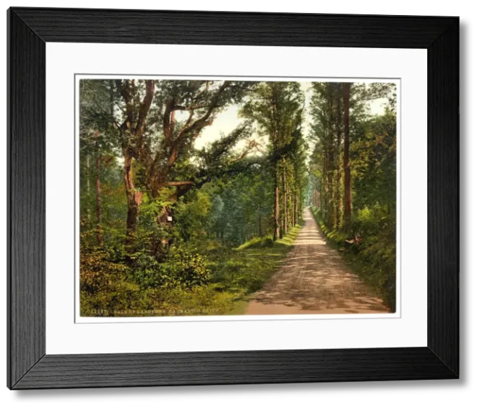 Framed Print : Vale of Lanherne, Carmanton Drive, Cornwall, England