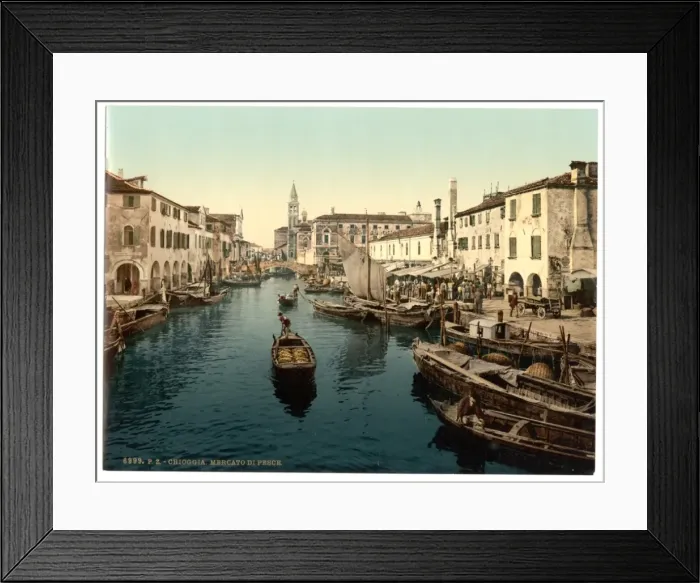 Framed Print : Chioggia, fish market, Venice, Italy Framed Print : Chioggia, fish market, Venice, Italy