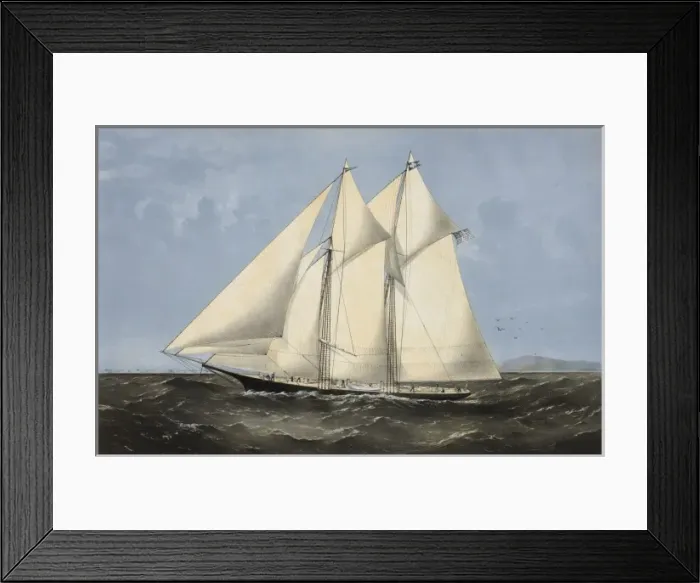 Framed Print : The yacht Sappho of New York: leaving Sandy Hook July 28th Framed Print : The yacht Sappho of New York: leaving Sandy Hook July 28th