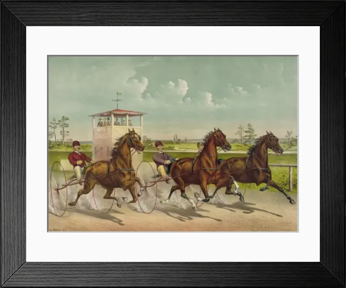 Framed Print : Trotting for a great stake Framed Print : Trotting for a great stake