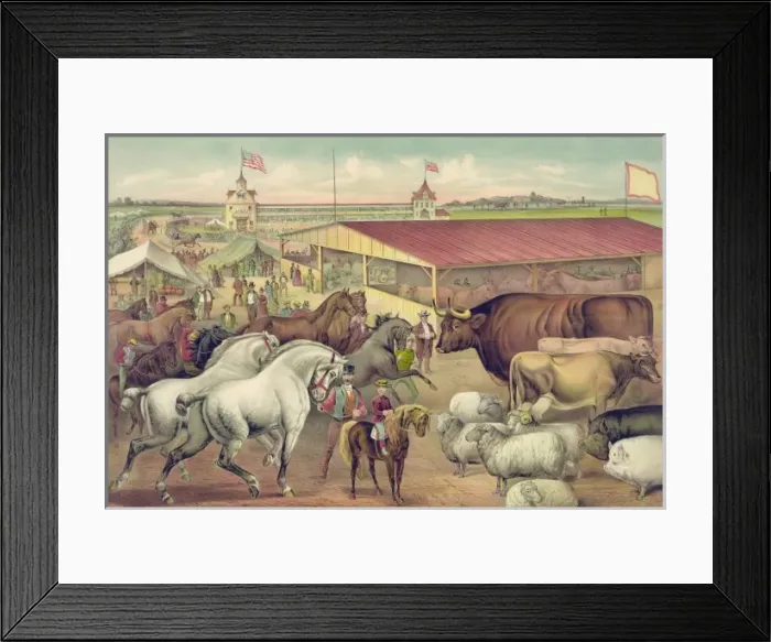 Framed Print : Sights at the fair ground Framed Print : Sights at the fair ground
