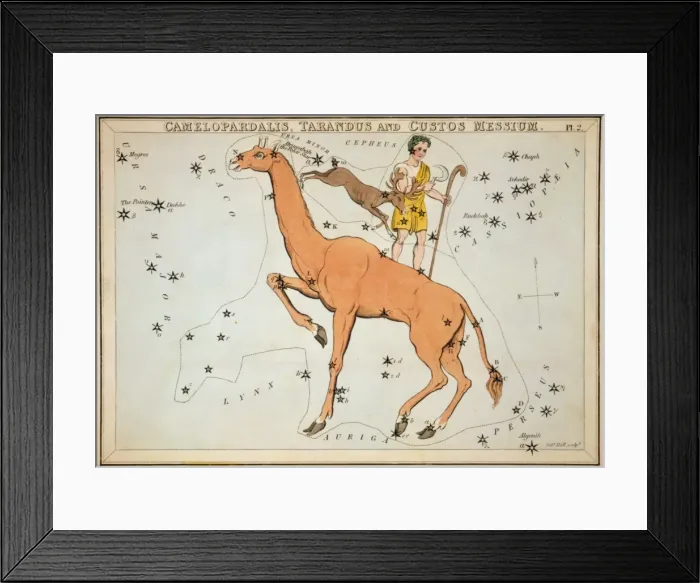 Framed Print : Camelopardalis, Tarandus and Custos Messium Framed Print : Camelopardalis, Tarandus and Custos Messium