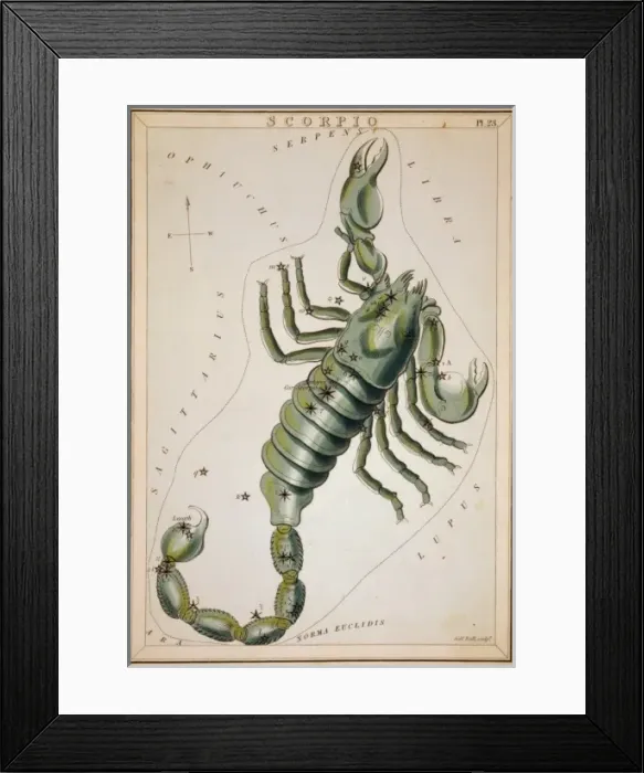 Framed Print : Scorpio. Astronomical chart showing a scorpion forming the constellation. Date 1825 Framed Print : Scorpio. Astronomical chart showing a scorpion forming the constellation. Date 1825