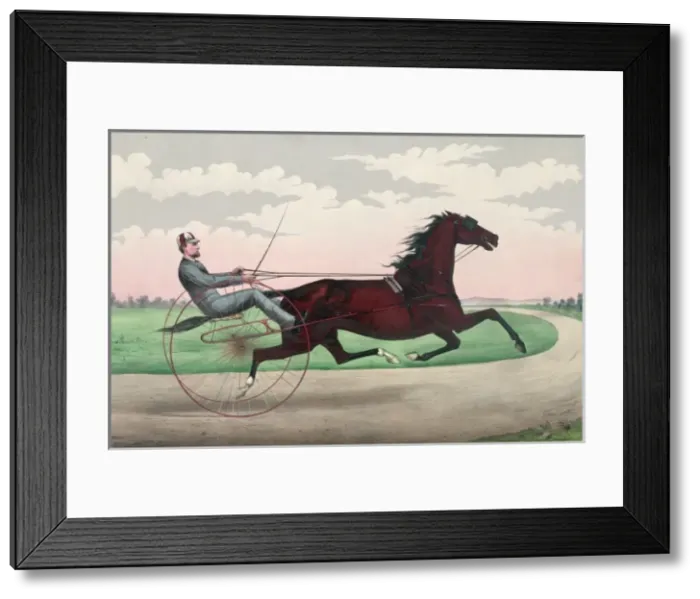 Framed Print : St. Julien: by Volunteer, dam by Sayres Harry Clay Framed Print : St. Julien: by Volunteer, dam by Sayres Harry Clay