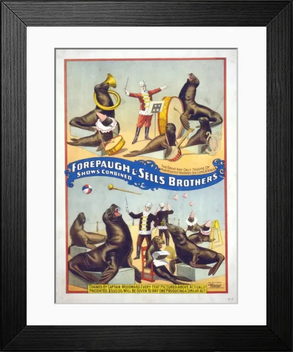 Framed Print : Forepaugh & Sells Brothers shows combined Framed Print : Forepaugh & Sells Brothers shows combined
