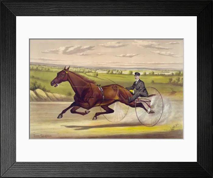 Framed Print : The queen of the turf Maud S. driven by W. W. Bair: by Harold Framed Print : The queen of the turf Maud S. driven by W. W. Bair: by Harold