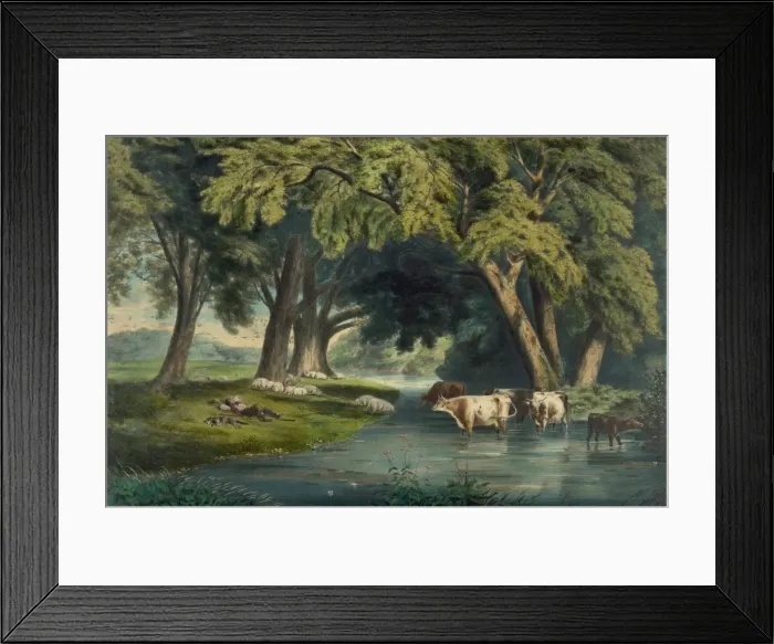 Framed Print : Summer shades Framed Print : Summer shades