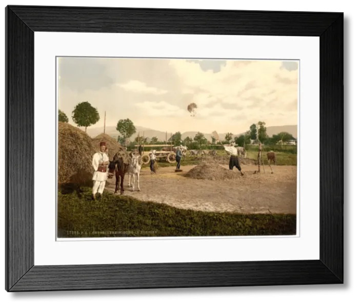 Framed Print : Farm scene, Bosnia, Austro-Hungary Framed Print : Farm scene, Bosnia, Austro-Hungary