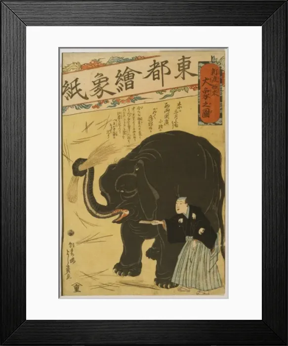 Framed Print : Big imported elephant