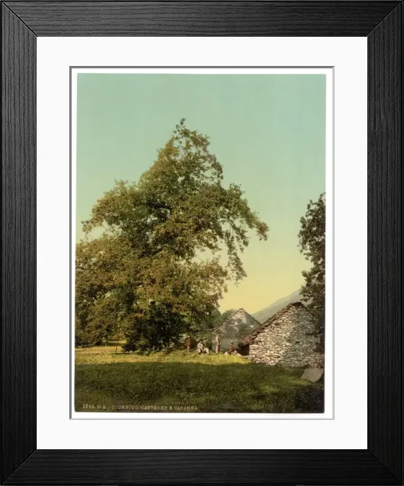 Framed Print : Giornico, peasants hut, St. Gotthard Railway, Switzerland Framed Print : Giornico, peasants hut, St. Gotthard Railway, Switzerland