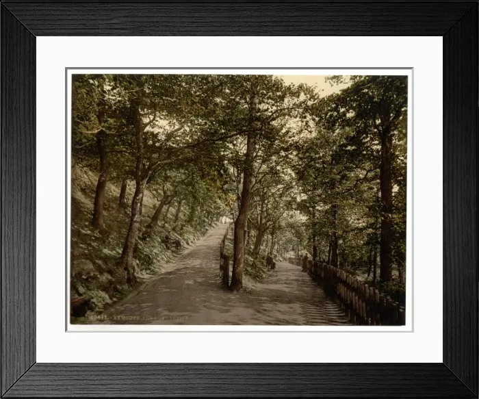 Framed Print : The Plantation, Exmouth, England Framed Print : The Plantation, Exmouth, England