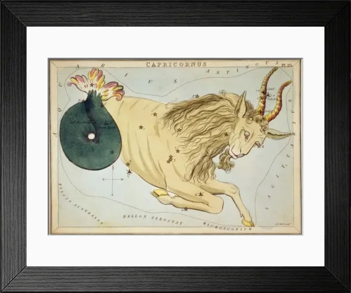 Framed Print : Capricornus Framed Print : Capricornus