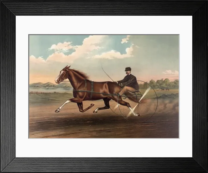 Framed Print : Young Fullerton, (3528): record 2: 20 3 / 4 Framed Print : Young Fullerton, (3528): record 2: 20 3 / 4