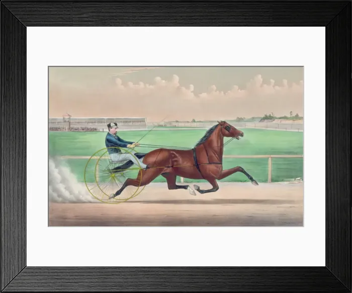 Framed Print : Red Cloud: by Legal Tender, He by Davy Crockett, (pacer) Dam Framed Print : Red Cloud: by Legal Tender, He by Davy Crockett, (pacer) Dam