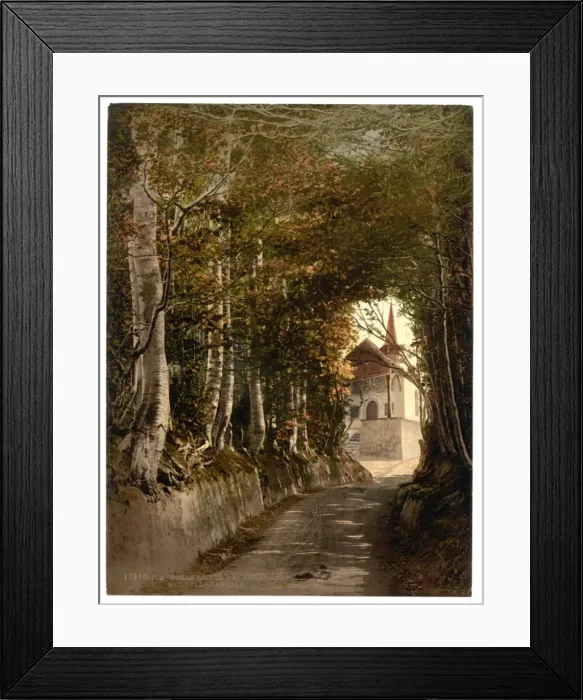 Framed Print : Tells Chapel, the lane through the woods near Kussnacht, sh Framed Print : Tells Chapel, the lane through the woods near Kussnacht, sh