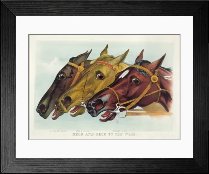 Framed Print : Neck and neck to the wire Framed Print : Neck and neck to the wire
