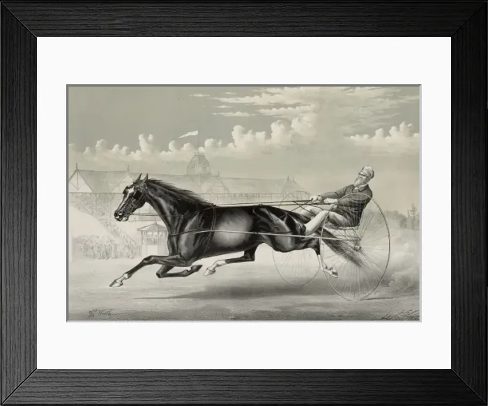 Framed Print : Music: Chestnut Mare, by Middletown, dam by Roes Fiddler Framed Print : Music: Chestnut Mare, by Middletown, dam by Roes Fiddler