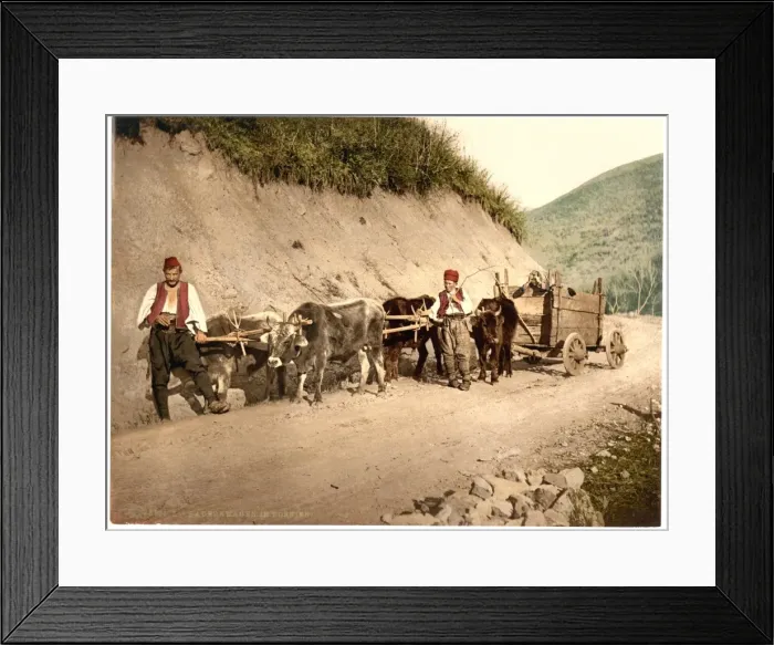 Framed Print : Peasant wagon, Bosnia, Austro-Hungary Framed Print : Peasant wagon, Bosnia, Austro-Hungary