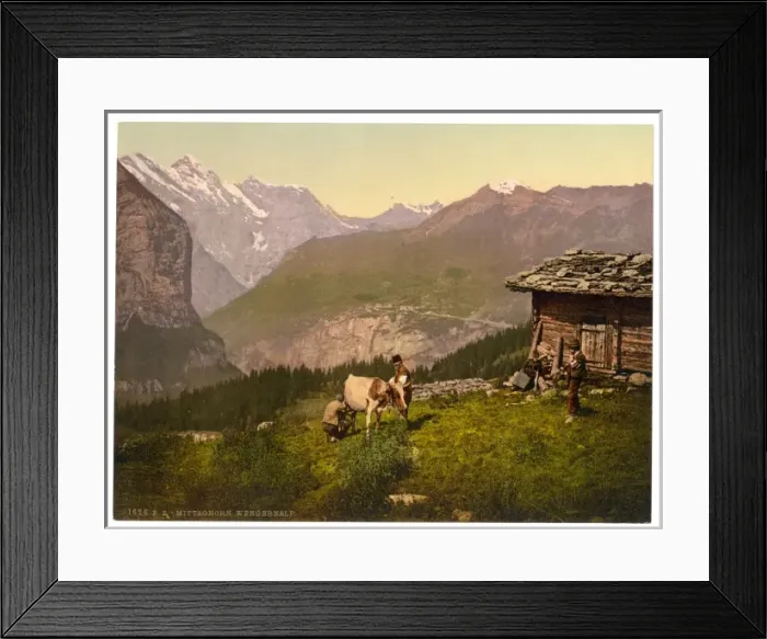 Framed Print : Wengern Alp, cheese dairy, cowkeeper milking cow, Bernese Ob Framed Print : Wengern Alp, cheese dairy, cowkeeper milking cow, Bernese Ob