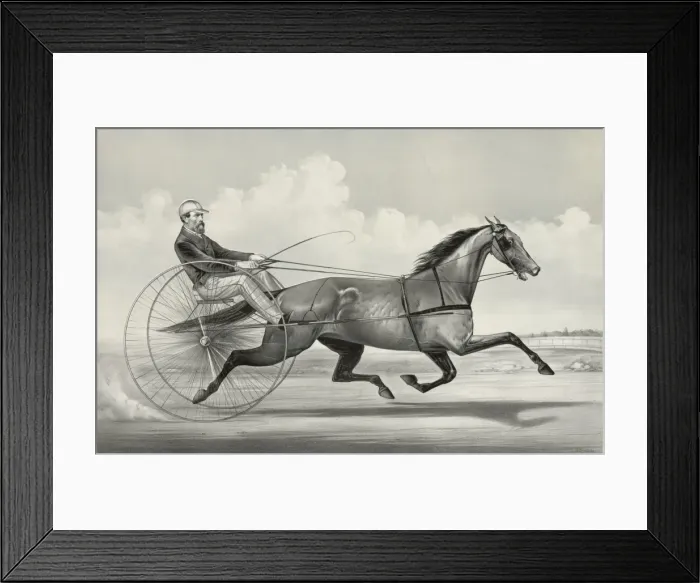 Framed Print : Trotting mare American Girl driven by M. Roden Framed Print : Trotting mare American Girl driven by M. Roden