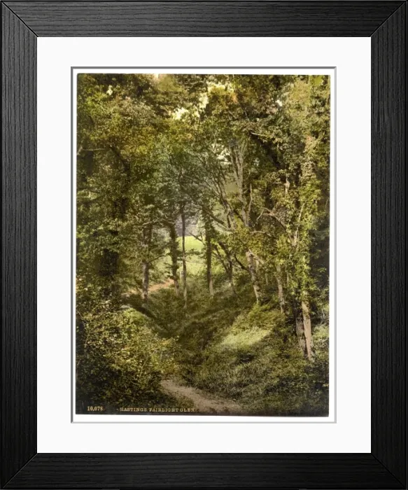 Framed Print : Fairlight Glen, Hastings, England