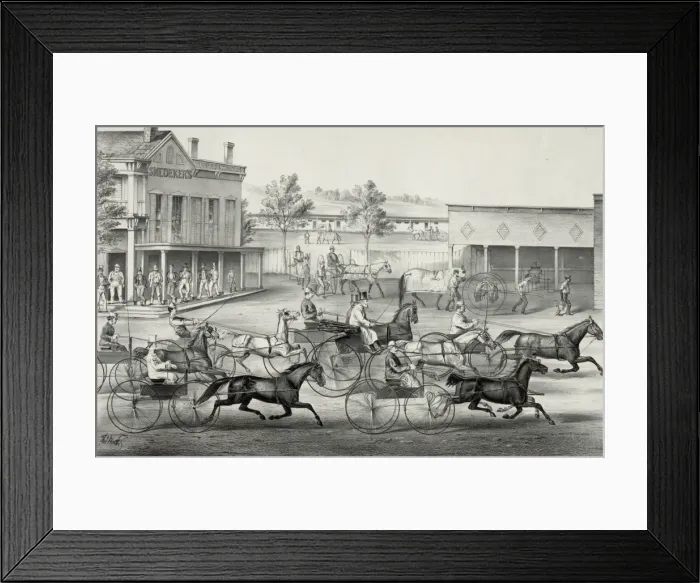 Framed Print : Going to the trot: a good day and good track Framed Print : Going to the trot: a good day and good track