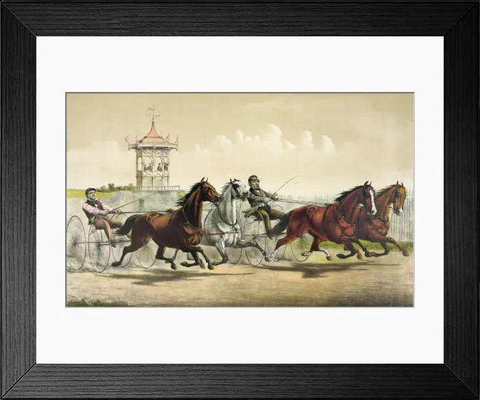 Framed Print : A great double team trot Framed Print : A great double team trot