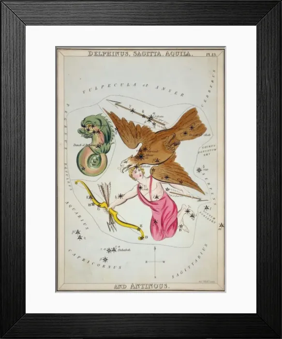 Framed Print : Delphinus, Sagitta, Aquila, and Antinous Framed Print : Delphinus, Sagitta, Aquila, and Antinous