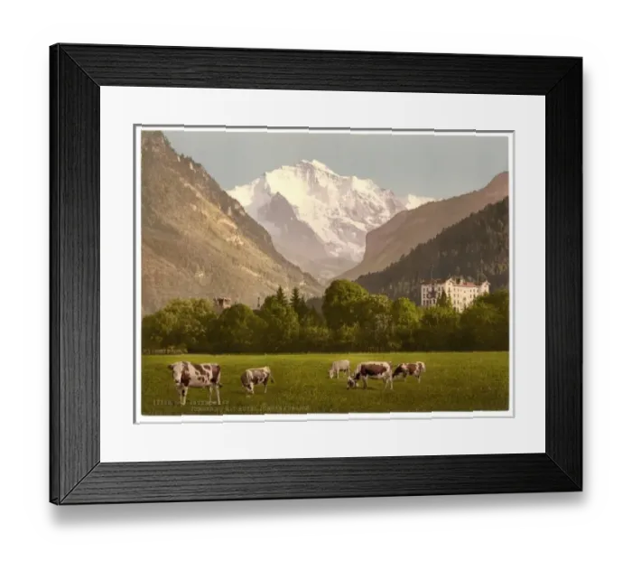 Framed Print : Jungfrau and Jungfraublick Hotel, Bernese Hotel, Switzerland Framed Print : Jungfrau and Jungfraublick Hotel, Bernese Hotel, Switzerland