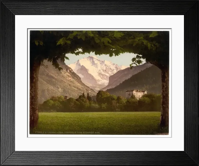 Framed Print : Jungfrau, from Hoheweg, Bernese Oberland, Switzerland Framed Print : Jungfrau, from Hoheweg, Bernese Oberland, Switzerland