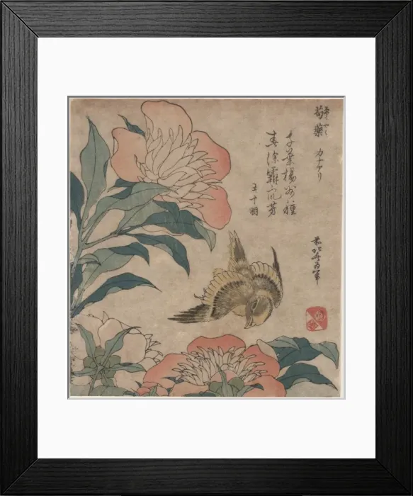 Framed Print : Peony and canary Framed Print : Peony and canary